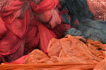 _MG_5562t_edit