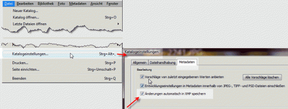 Lighroom Katalogeinstellungen XMP Performance