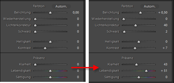 Lightroom, Modul Entwickeln: Grundeinstellungen