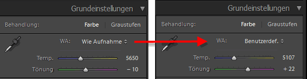 Die Einstellungen des Weißabgleichs