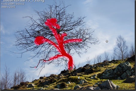 Baum-Lightroom-Korrekturpinsel-Maske