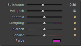 Einstellungen mit dem Korrekturpinsel