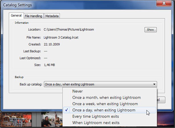 Catalog Options