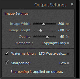 Watermark output Settings